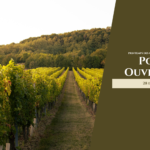 portes ouvertes printemps des chateaux du médoc